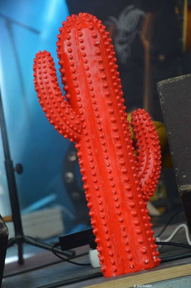 Red Cactus 15-cactus