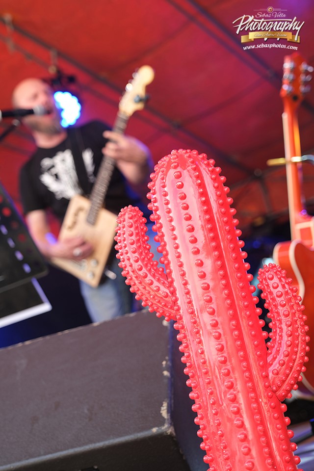 redcactus 5
