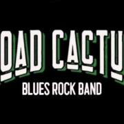 Road cactus logo green hd