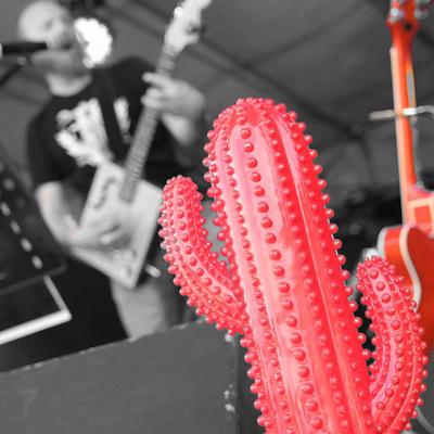 Redcactus5 n b